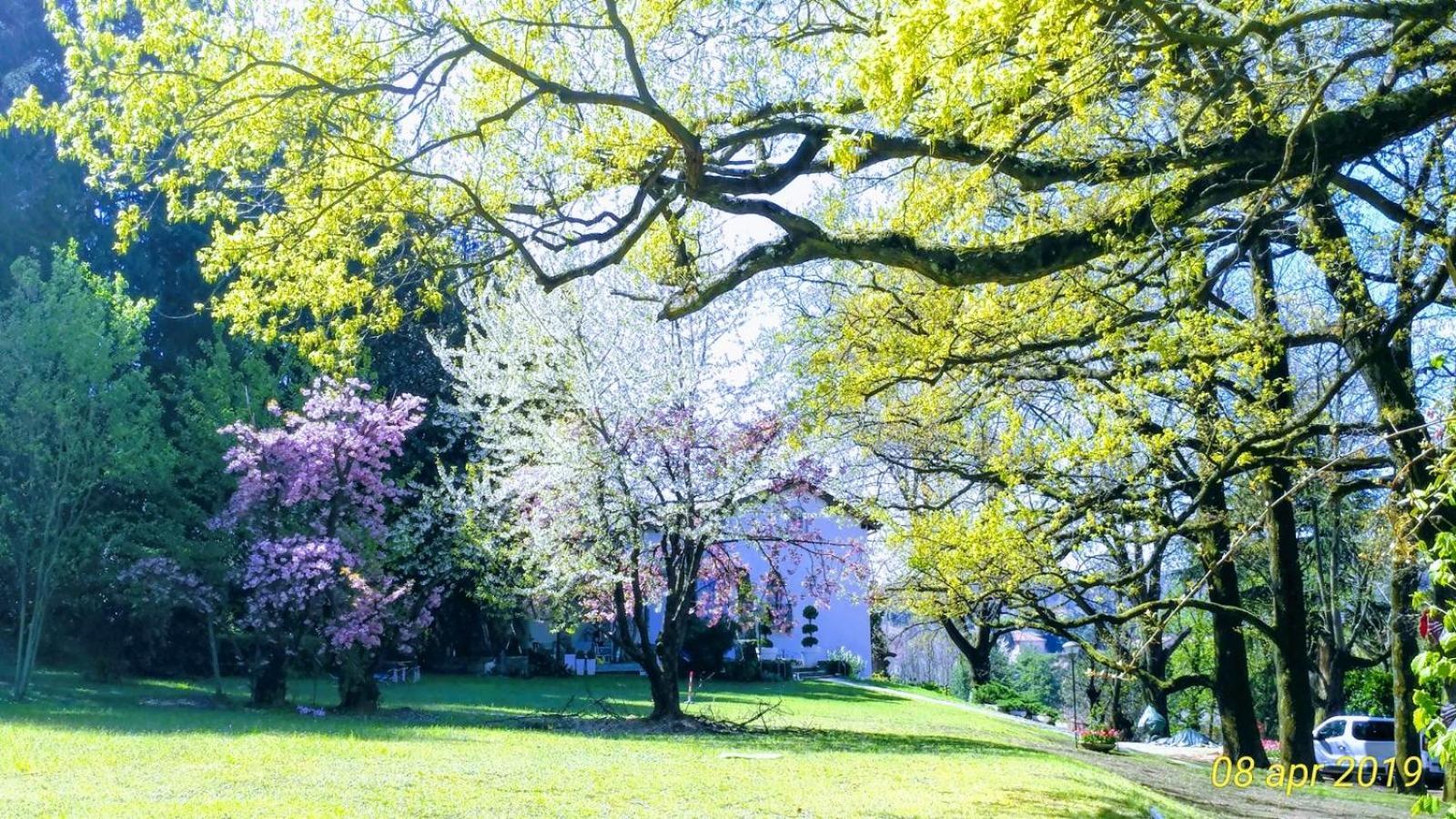 La Selvetta bed&breakfast Buguggiate Exteriör bild